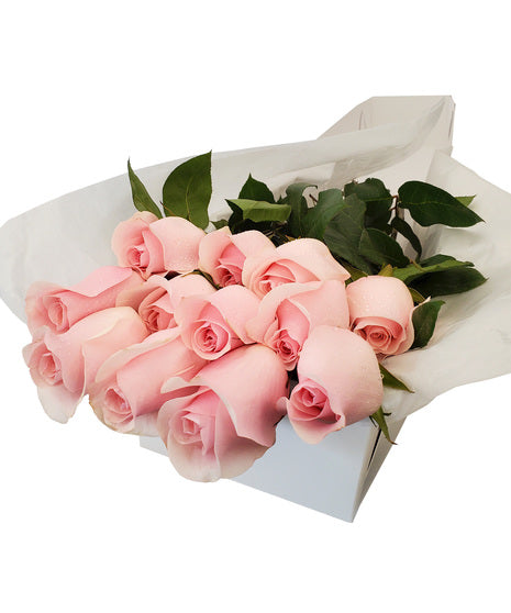 Valentines Day Premium Roses in Box