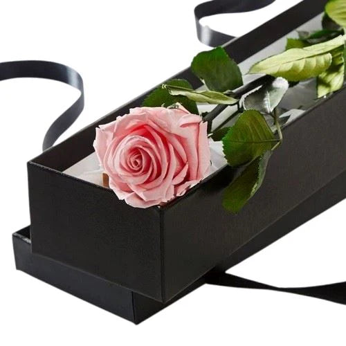 Valentine's Rose In Box