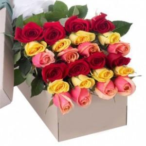 Multicoloured Roses in Box